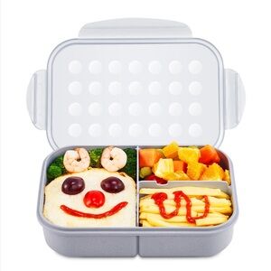 BPA-Free Lunch Box with Compartments